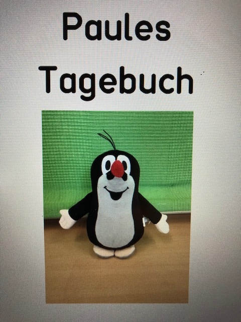 Die Maulwürfe – GGS Sandstraße